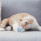 pidan猫咪玩具球 薄荷铃铛发光玩具宠物玩具球宠物用品猫咪玩具 粉色