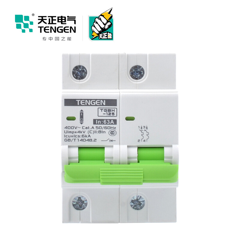 天正电气 TGBH-125 空气开关 6KA 3P C 100A 335013800247 微型断路器