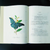 寰宇文献 中国昆虫志 印度昆虫志 Natural history of the insects of China I