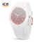 Ice-Watch艾施表ICE手表女 ins超火小众硅胶防水腕表 满天星空表Ice lo-013427 S-013427