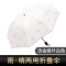 邦禾 太阳伞 小黑伞女防晒防紫外线黑胶女神折叠晴雨伞两用遮阳伞 烫金枫叶白色