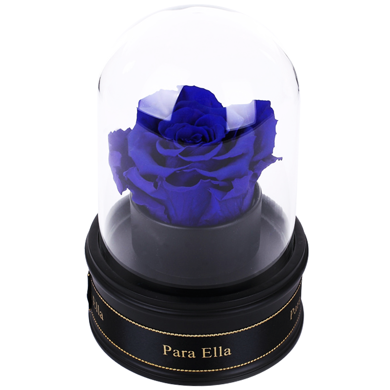 Para Ella 011系列进口玫瑰花永生花【旋转音乐盒】玻璃罩音乐礼盒鲜花速递七夕情人节礼物生日纪念日礼物送女生女友 蓝色玫瑰