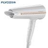 飞科(FLYCO) 电 吹风机家用 发廊 大功率 吹风筒 电吹风筒 2000瓦 大功率吹风 6档可调 FH6228