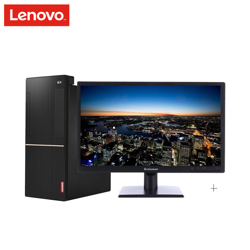 联想（lenovo）扬天T系列 家用 商用台式机电脑 19.5英寸屏(酷睿i5 8GB 1TB ）定制