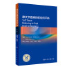 膝关节置换的软组织平衡(翻译版)
