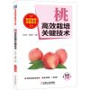 桃高效栽培关键技术(手把手教你学技术.减肥减药.要点详解.一本足够)