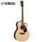 雅马哈自营（YAMAHA）FSX830C原木色单板民谣电箱吉他40英寸缺角玫瑰木背侧