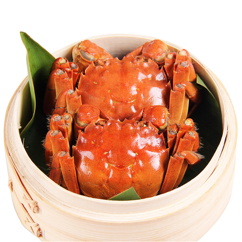 珍鲜汇 大闸蟹现货礼盒 2.5-3.0两/只 8只装 鲜活实物螃蟹
