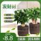 发财树盆栽室内客厅桌面绿植小盆景大发财树苗树吸甲醛植物 1盆发财树90#+厚德载物盆