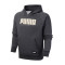 PUMA彪马男装运动服休闲连帽卫衣580967 XXL 58096707灰色
