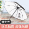 小黑伞太阳伞女防晒遮阳伞防紫外线黑胶女神折叠晴雨伞两-用 博士犬