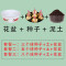 【叶卉美百合种球+盆+土】香水百合一代种球包发芽开花 【5个种球】