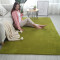 加厚超柔棉绒客厅地毯沙发茶几垫卧室满铺床边地毯可机洗定制_865 1.4M×2.0M现货 草绿色