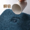 北欧现代简约纯色ins卧室满铺房间床边地毯客厅茶几地垫吸水定制_1_303