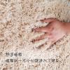 客厅地毯茶几毯北欧现代简约加厚免洗家用特厚款沙发卧室毛毯地垫_580 1600MM×2300MM 黑灰色