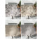 入户地垫进防滑垫家用口地毯入脚垫玄关耐磨防滑客厅垫_8 50x80cm 时光回廊-棕