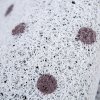 地垫垫进可裁剪入户防滑卫生间吸水客厅口家用厨房脚垫地毯_2 80*120cm【可裁剪无压边】 椰子树