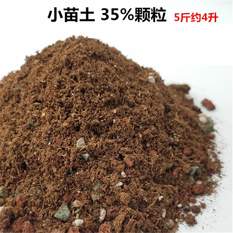 创意园艺用品花卉植物多肉颗粒土纯颗粒多肉植物用营养土肉肉叶插换盆盆栽花土 小苗叶插配方5斤