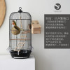 牡丹虎皮玄凤八哥文鸟鹦鹉鸟笼别墅笼子大号圆形鸟笼鸟笼 套餐一单笼版（白现货）