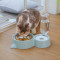 狗盆狗碗猫碗双碗自动饮水食盆狗狗碗猫咪水碗防打翻饭盆宠物用品_5 自动续水双碗（通用） 烟灰色+餐垫（超值！）