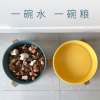 猫碗双碗陶瓷狗碗猫咪食盆饭盆狗狗喝水猫粮碗宠物用品实木防打翻_2 碗直径15.5cm碗深6.8cm 大理石纹粉+竹木底座2件拍组合46.6元