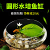 圆鱼缸小型桌面创意玻璃睡莲圆形水培植物金鱼缸一体水养家用造景_1 默认尺寸 小号玻璃缸裸缸【14cm】