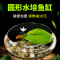 圆鱼缸小型桌面创意玻璃睡莲圆形水培植物金鱼缸一体水养家用造景_1 默认尺寸 中号玻璃缸裸缸【19cm】