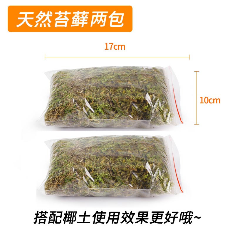 椰砖巴西龟椰土爬宠垫材乌龟冬眠沙龟土用品泥过冬装备无菌沙土 默认尺寸 【天然干苔藓】两包