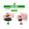 水泥专用沙鱼缸装饰肥料底砂种植土陶粒砂水族造景套餐10斤_2 默认尺寸 【3L】+开缸伴侣+基肥