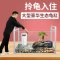乌龟缸大型鱼宠物龟养乌龟专用水龟饲养箱特大号超大家用养龟大号 默认尺寸 52cm特大号简约款：套餐一