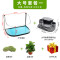 乌龟缸带晒台玻璃别墅养龟的专用缸鳄龟中型特大型鱼缸家用水陆缸_2 默认尺寸 52cm大号：微景观套餐一