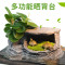 乌龟缸带晒台玻璃别墅养龟的专用缸鳄龟中型特大型鱼缸家用水陆缸_2 默认尺寸 52cm大号：微景观套餐三