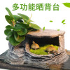 乌龟缸带晒台玻璃别墅养龟的专用缸鳄龟中型特大型鱼缸家用水陆缸_2 默认尺寸 66cm特大号：微景观套餐一
