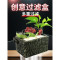 乌龟过滤器鱼缸顶滤盒水幕式顶滤上过滤盒鱼缸上置外置壁挂式自制 默认尺寸 ※小号裸盒+滤材包+水泵+绿萝