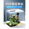 免换水生态鱼缸小型水族箱自循环客厅金鱼智能懒人家用创意带氧气 默认尺寸 YGD-600【世外桃源】送礼包