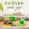 养龟的专用缸养乌龟缸龟生态玻璃水陆金鱼缸小型免换水别墅箱家用_1 默认尺寸 特大号裸缸（送礼包）