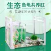 乌龟金鱼鱼缸龟鱼和鱼龟混养缸两用一体生态客厅深水龟小型二合一 默认尺寸 特大号混养缸：套餐三.