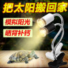小乌龟过冬装备冬天冬眠用品沙保温箱恒温加温设备灯加热垫晒背灯 默认尺寸 YX-28（25W）+黑调节长灯架+灯泡