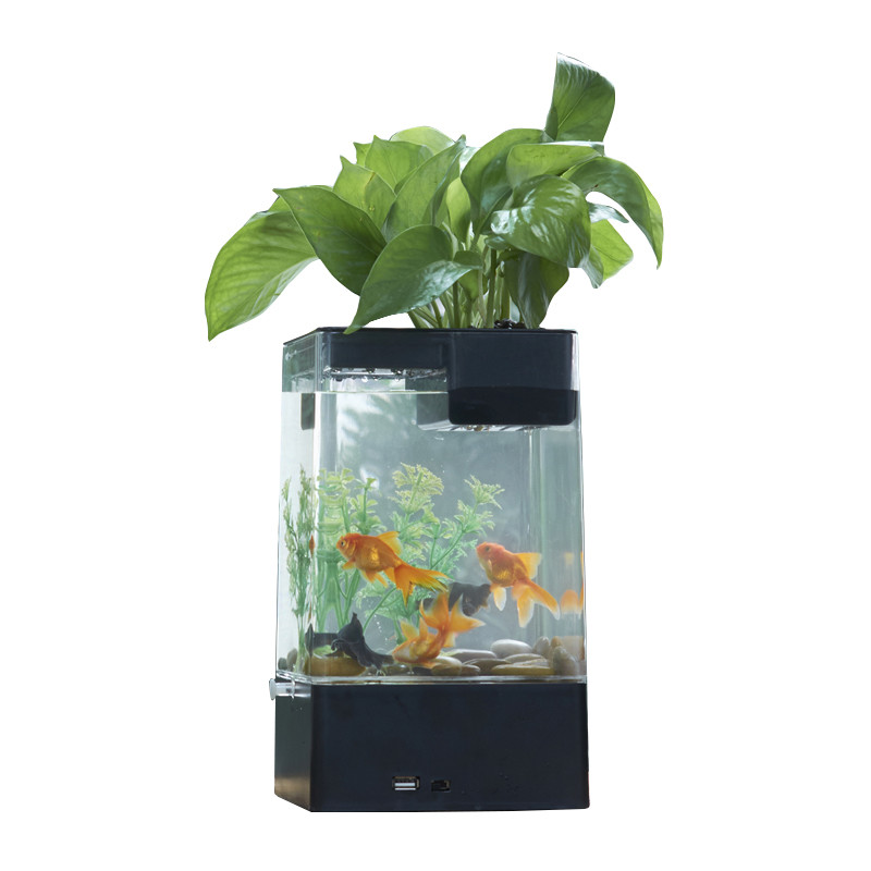 水培植物养鱼缸一体家用塑料创意懒人小型免换水桌面斗鱼专用客厅_1