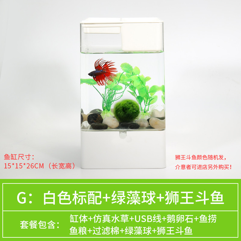 水培植物养鱼缸一体家用塑料创意懒人小型免换水桌面斗鱼专用客厅_1 默认尺寸 白色标配+绿藻球+狮王斗鱼