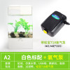 水培植物养鱼缸一体家用塑料创意懒人小型免换水桌面斗鱼专用客厅_1 默认尺寸 白色标配+氧气泵
