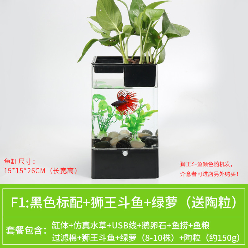 水培植物养鱼缸一体家用塑料创意懒人小型免换水桌面斗鱼专用客厅_1 默认尺寸 黑色标配+绿萝+狮王斗鱼