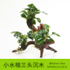 沉木水缸鱼缸装饰造景套餐小水榕类懒人新手真水椒植物_1 默认尺寸 【三头】小水榕三头沉木