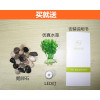 自洁生态鱼缸塑料免换水创意懒人桌面造型摆设个性小型透明仿玻璃_1 默认尺寸 .圆形缸
