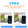 车载冲养鱼缸充电氧气泵无电增氧泵供氧器两用打养机鱼用小型户外 默认尺寸 QBD-10加强版配泡石+水妖精