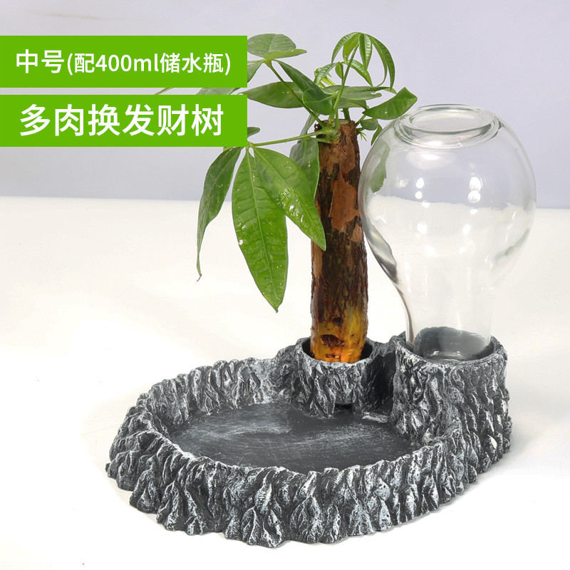 陆龟水盆泡澡喝水乌龟喂食盆爬虫缘爬宠喂水蜥蜴用品_1 默认尺寸 中号饮水器（多肉换发财树）