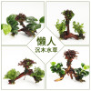 鱼缸装饰造景套餐真水沉木后景缸植物淡水小水榕养鱼懒人_1 默认尺寸 六头小对叶加红玫瑰