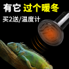 龟箱保温灯乌龟发热灯泡蜥蜴角蛙爬虫加热灯泡陆龟陶瓷灯爬宠温控 默认尺寸 100W陶瓷加热灯
