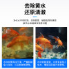 生化棉鱼缸过滤棉活性炭净水加厚水族箱过滤材料器高密度海绵黑绵_2 默认尺寸 魔力净水宝（30cm×25cm×2cm）两片装.