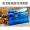 鱼缸壁纸背景纸画高清图3d鱼缸装饰品背景画双面造景珊瑚石背景板_2
